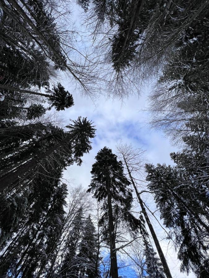 Садиба Between Mountains Mizhhirya  Buitenkant foto