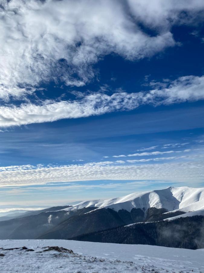 Садиба Between Mountains Mizhhirya  Buitenkant foto