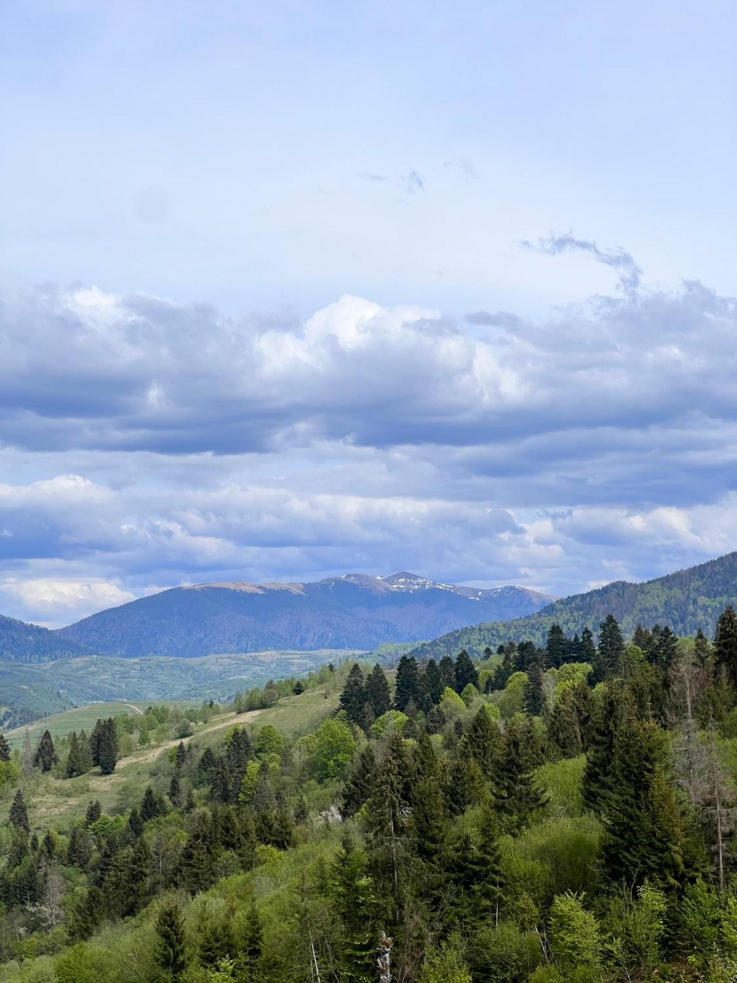 Садиба Between Mountains Mizhhirya  Buitenkant foto